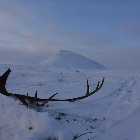 Daire Kilpis-silent Kilpisjärvi